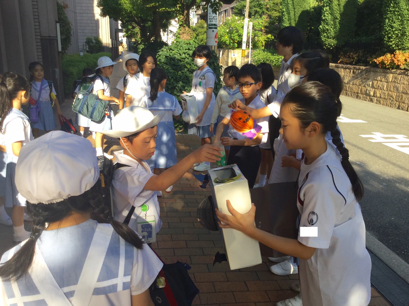 お知らせ ｜ 帝塚山学院小学校